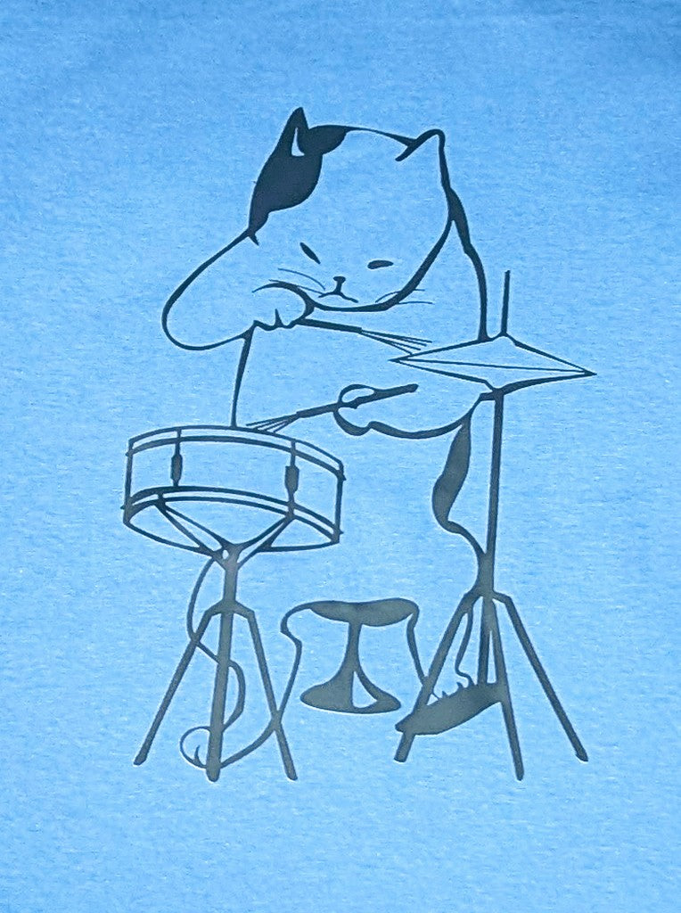 Little drummer cat